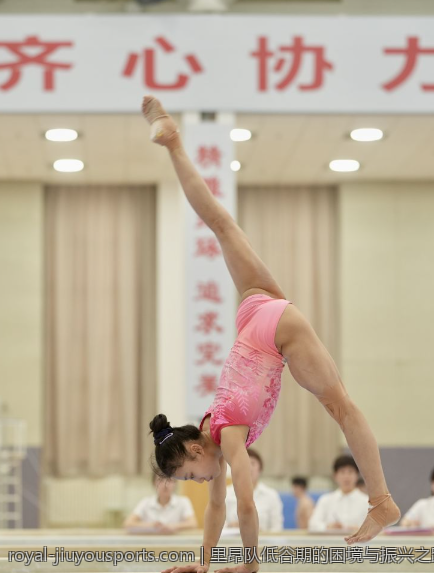 里昂队低谷期的困境与振兴之路，法甲排名逐步改善的过程解析